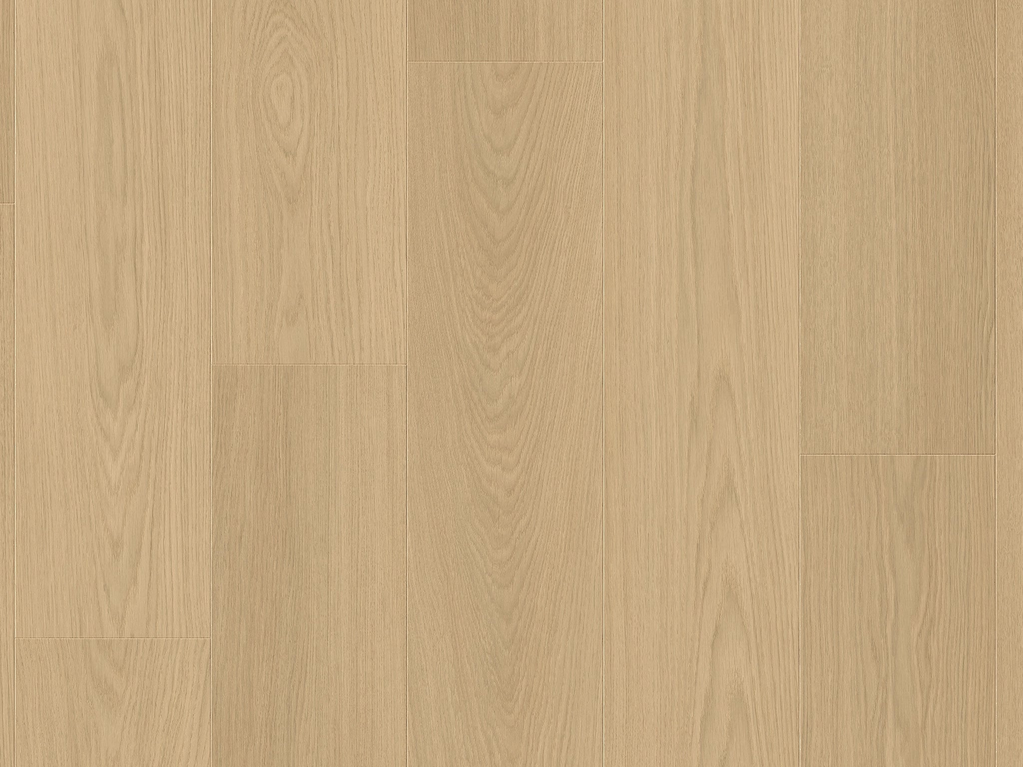 Quickstep Perspective Nature